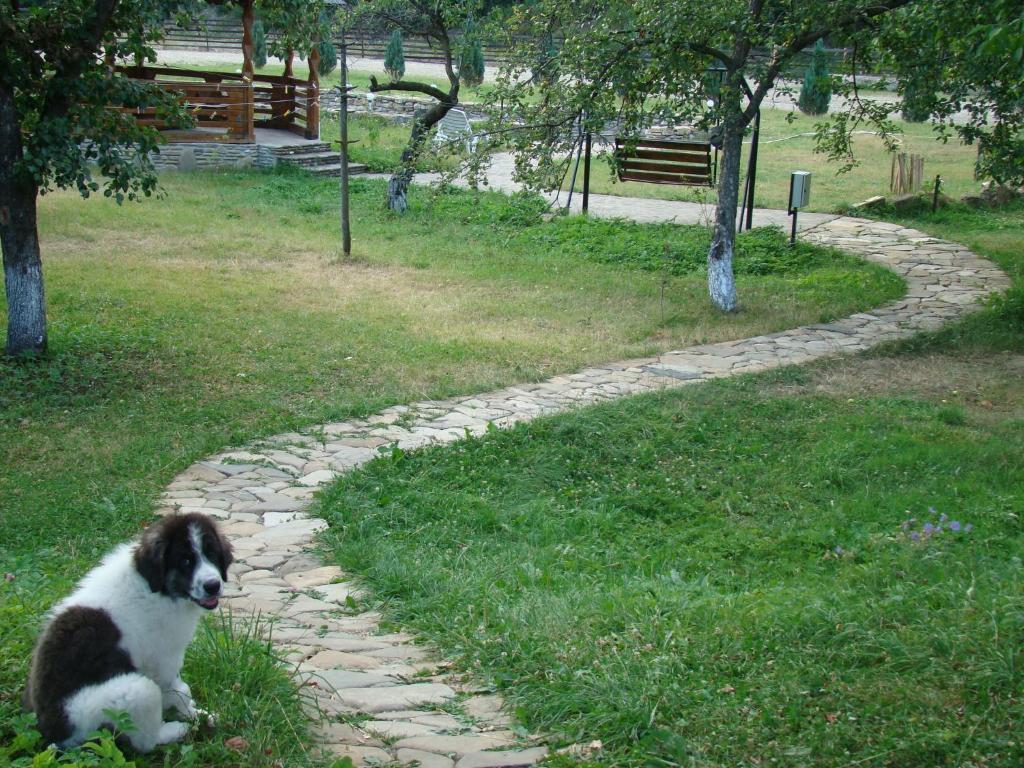 Pensiunea Agroturistica Cristal Sucevita Exterior foto